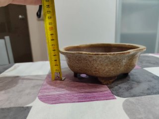 Maceta Bonsái Japonesa Shohin Cerámica. A