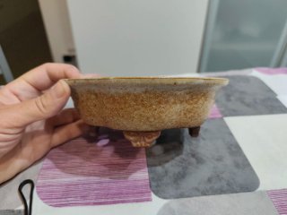 Maceta Bonsái Japonesa Shohin Cerámica. A