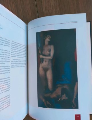 Libro Las heridas en la pintura