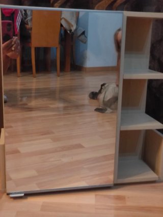 Mueble de baño con espejo