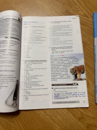 Pack libros de ingles 1 BACH