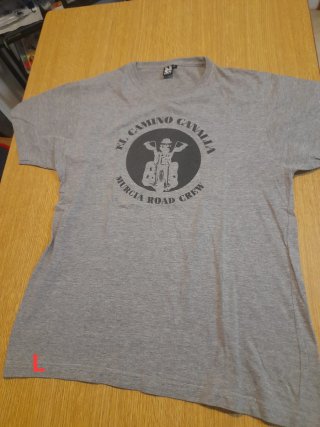 Lote 10 camisetas usadas manga corta