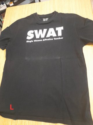 Lote 10 camisetas usadas manga corta