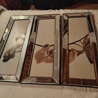 Conjunto 3 Cuadros Espejo Flores Beige