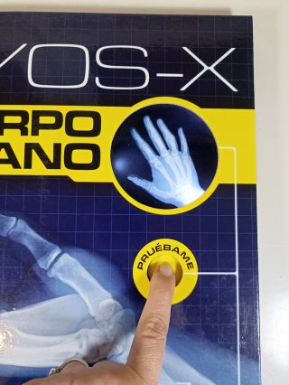 Rayos X El cuerpo humano con radiografías reales