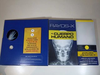 Rayos X El cuerpo humano con radiografías reales
