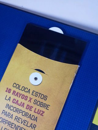 Rayos X El cuerpo humano con radiografías reales