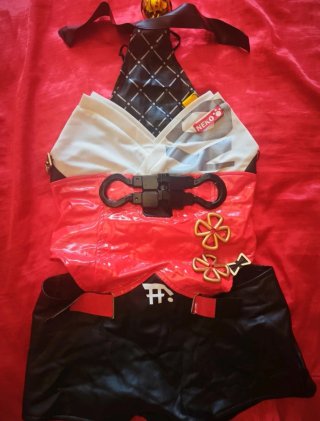 Cosplay Completo de Nekomata Zenless Zone Zero