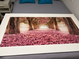 Cuadro Grande Naturaleza Bosque Árboles Rosas