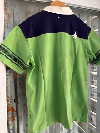 Polo Tommy Hilfiger verde y azul