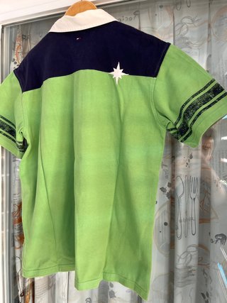 Polo Tommy Hilfiger verde y azul