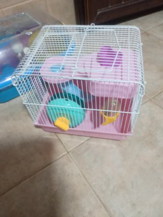Jaula para hámster con accesorios