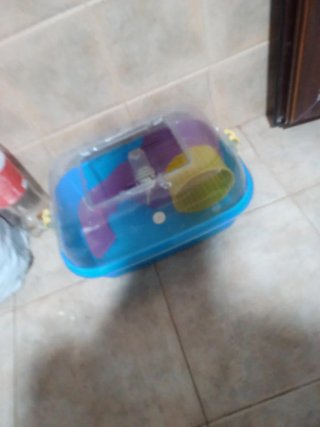 Jaula para hámster con accesorios