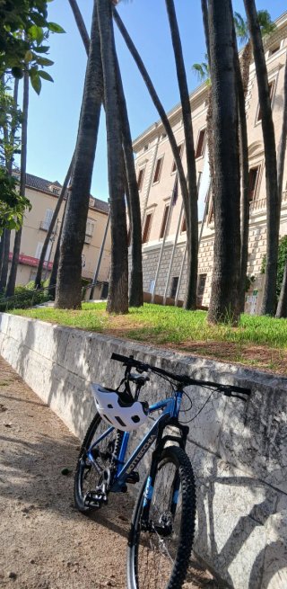 Bicicleta Bottecchia Azul