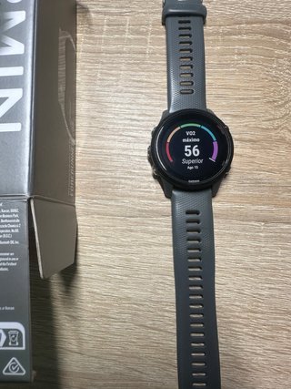 Garmin Forerunner 255