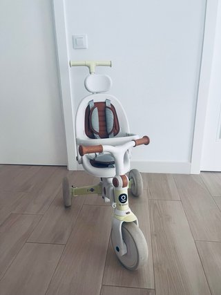 Triciclo Evolutivo Olmitos