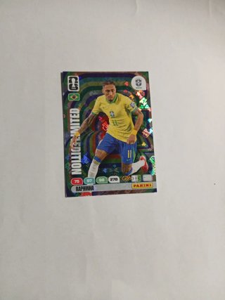 Panini Rafinha Edición Limitada Mundial 26