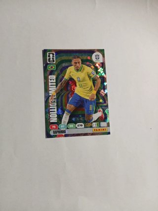 Panini Rafinha Edición Limitada Mundial 26