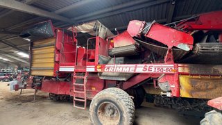 Cosechadora de patatas GRIMME SE 150-60