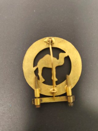 Insignia Sáhara Español Tropas África