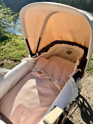Bugaboo Camaleon Carrito Bebé