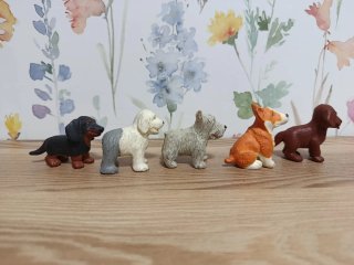 Colección Puppy in My Pocket Años 90
