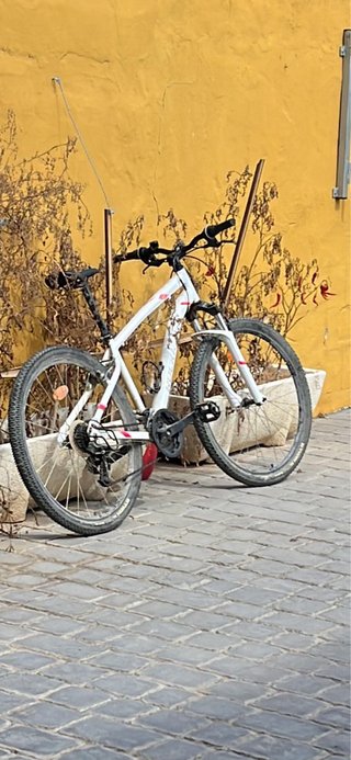 Bicicleta Montaña Blanca