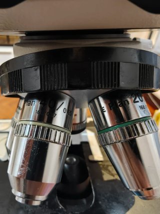 Microscopio Nikon Labophot