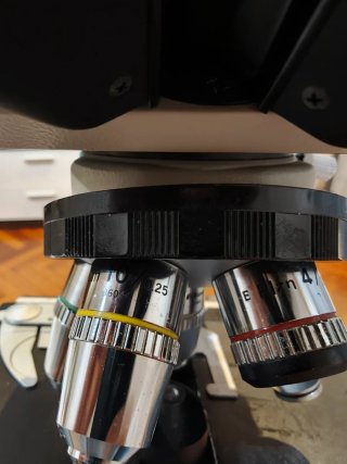 Microscopio Nikon Labophot