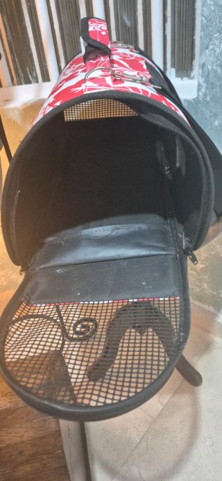 Transportín para gatos