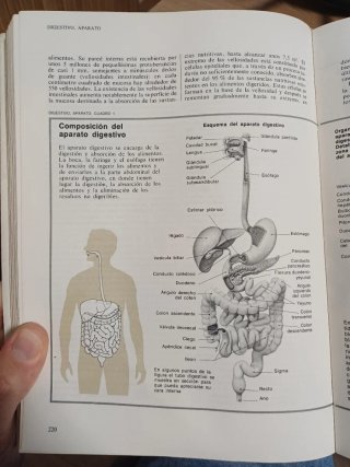 Diccionario médico familiar
