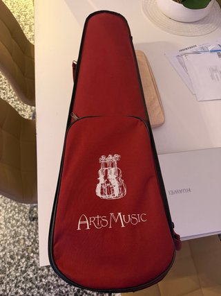 Violín en perfecto estado usado 3-4 veces