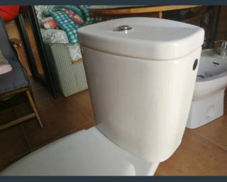 Inodoro de porcelana blanco