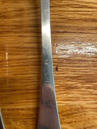 Cucharón y cazo bañados en plata