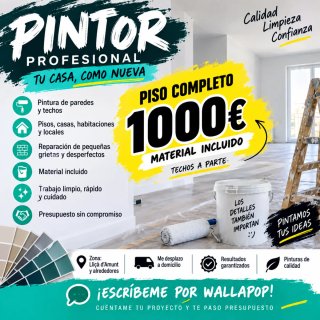Pintura de piso completo 1000€