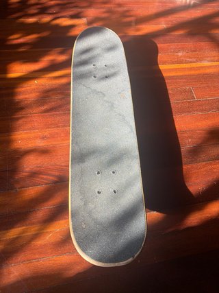 Skate Oxelo Lobo