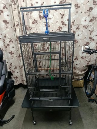 Jaula para loros y pajaros