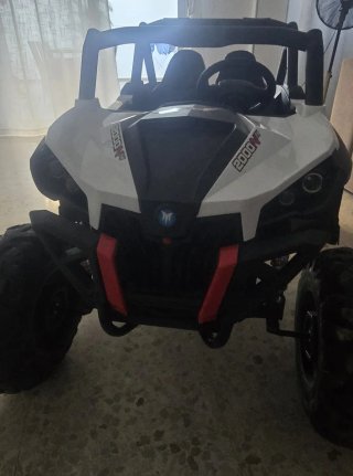 Buggy Eléctrico UTV-MX 2000W