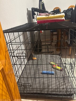 Jaula para mascotas plegable