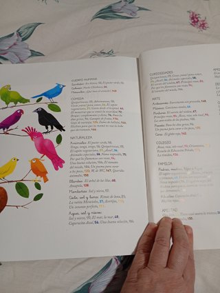 Libro de lecturas 1primaria. 12 colores. SM