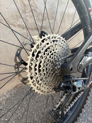 Canyon Torque:ON CF8 2022