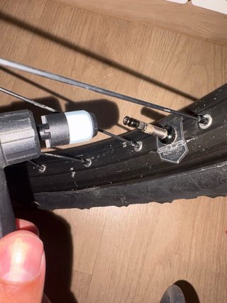 Canyon Torque:ON CF8 2022