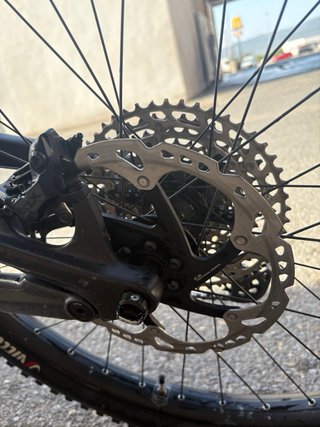 Canyon Torque:ON CF8 2022