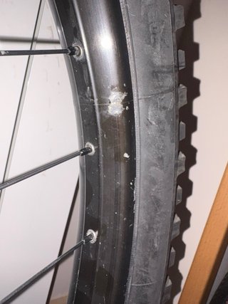 Canyon Torque:ON CF8 2022