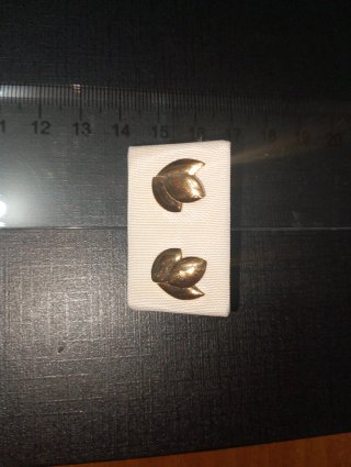Pendientes chapados dorados