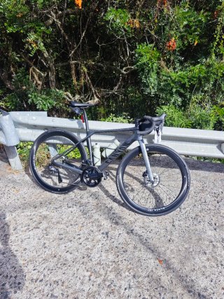 Bicicleta Canyon Endurace CF SLX 8 talla XS 51cm