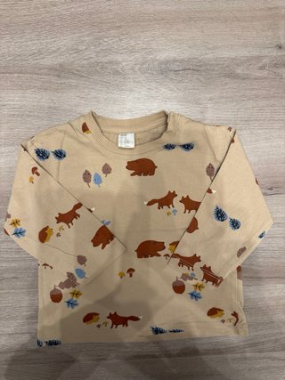 Lote 5 camisetas manga larga niño T 12-18 meses