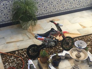REBEL MASTER KID CROSS 125cc | PIT BIKE | 28 KOSO