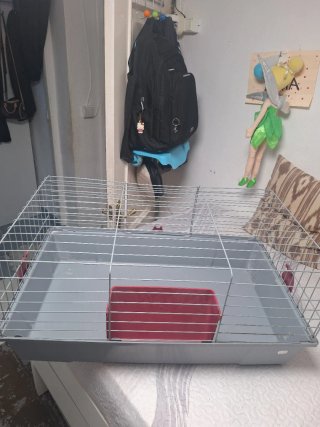 Jaula para conejo o cobaya