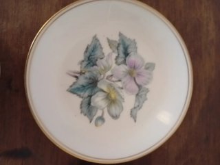 Set Royal Worcester Porcelana
